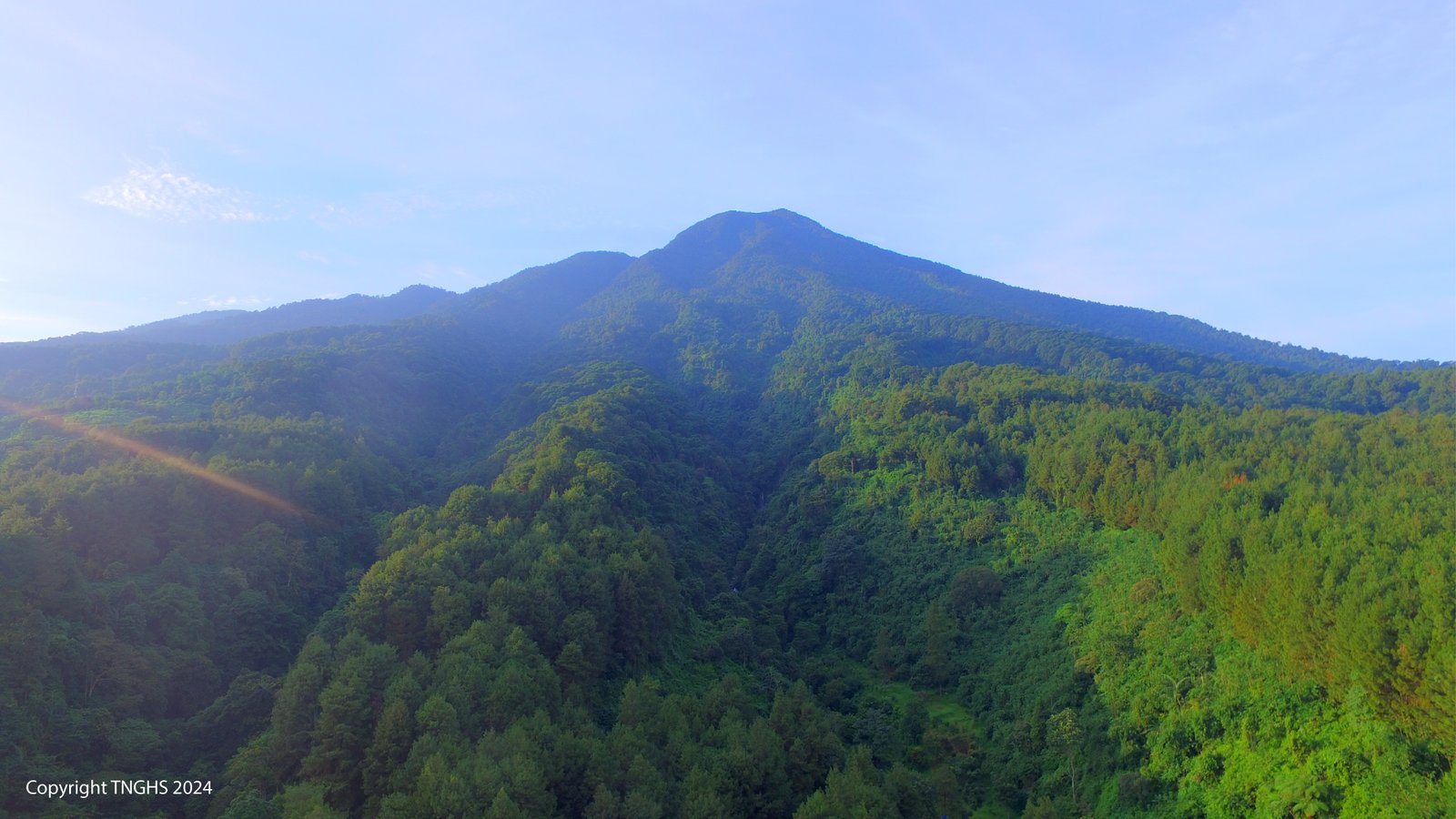 https://tnhalimunsalak.org/Profil Taman Nasional Gunung Halimun Salak